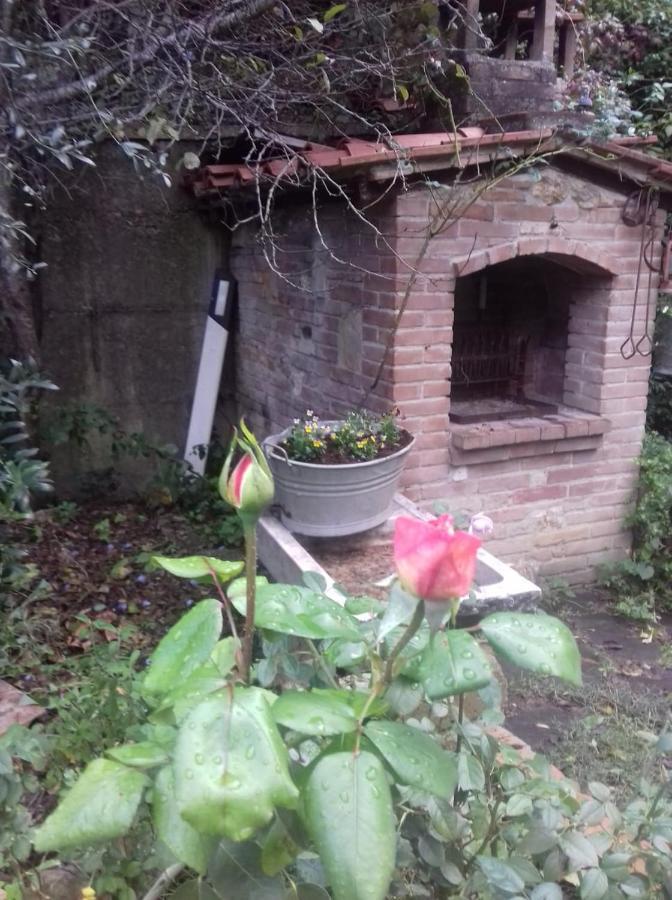 Casa Patti Alle Porte Di Siena Exteriör bild