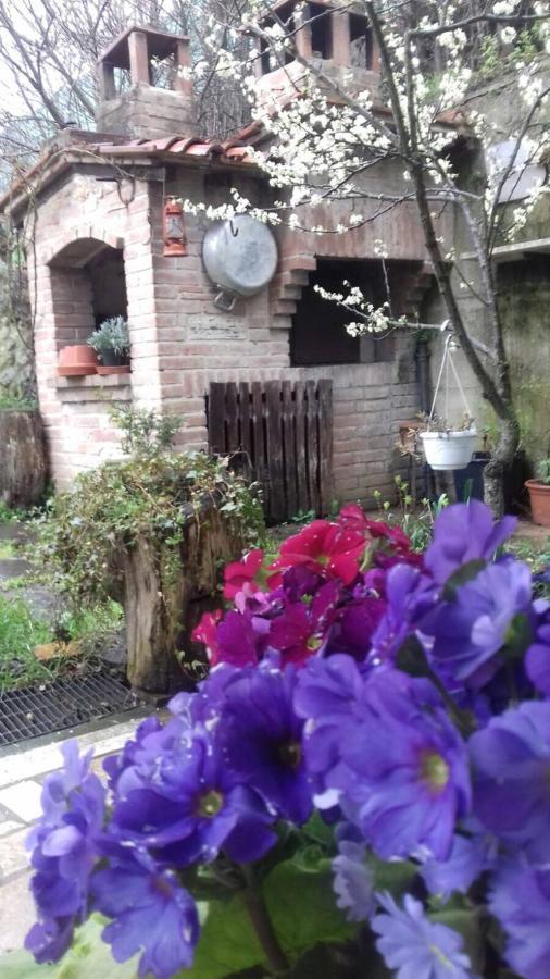 Casa Patti Alle Porte Di Siena Exteriör bild