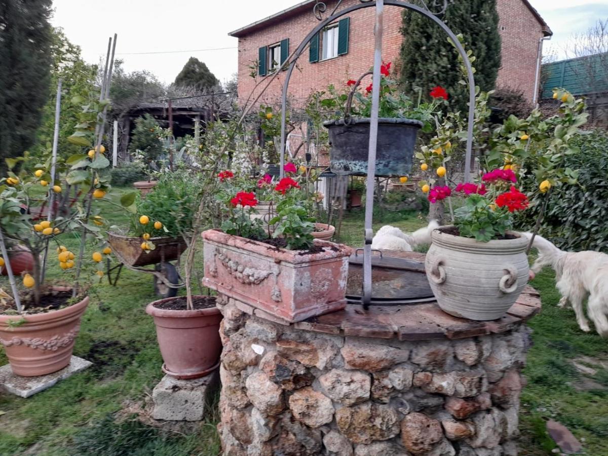 Casa Patti Alle Porte Di Siena Exteriör bild