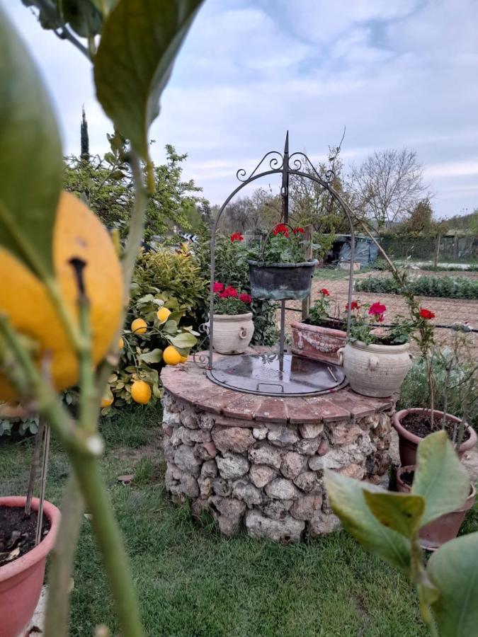 Casa Patti Alle Porte Di Siena Exteriör bild