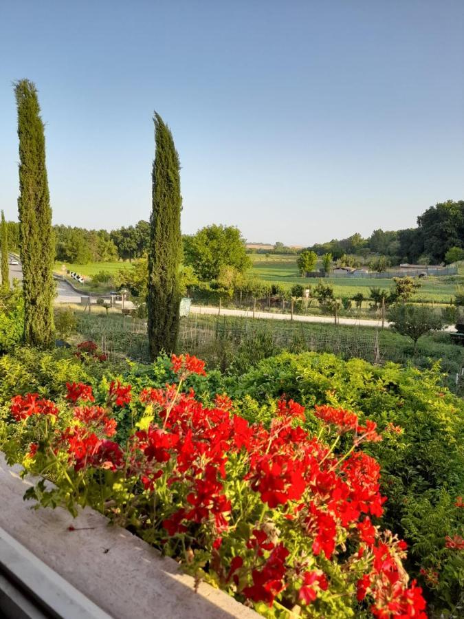 Casa Patti Alle Porte Di Siena Exteriör bild